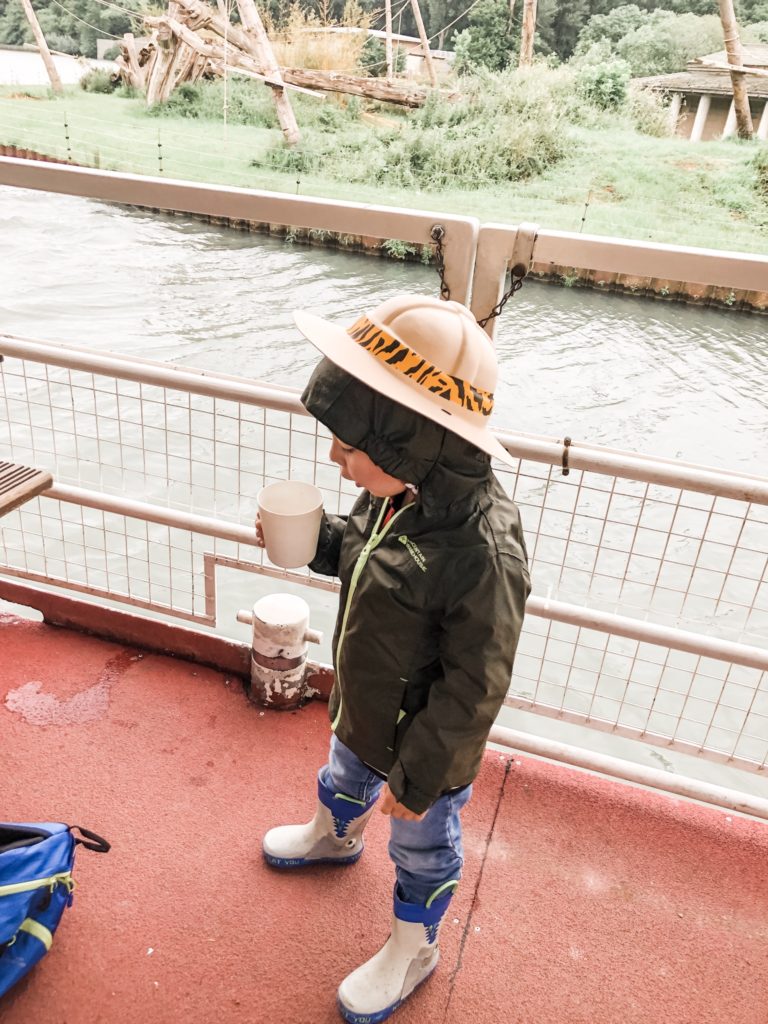 Boy Feeding the sea lions at Longleat Safari Park