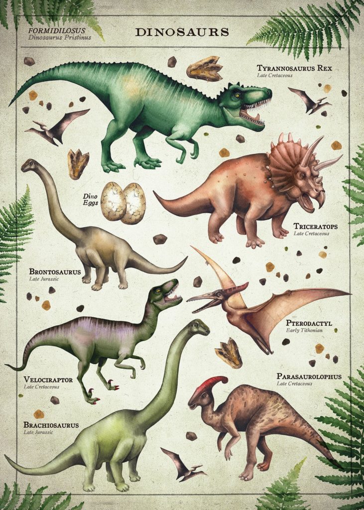 Educational dinosaur prints
