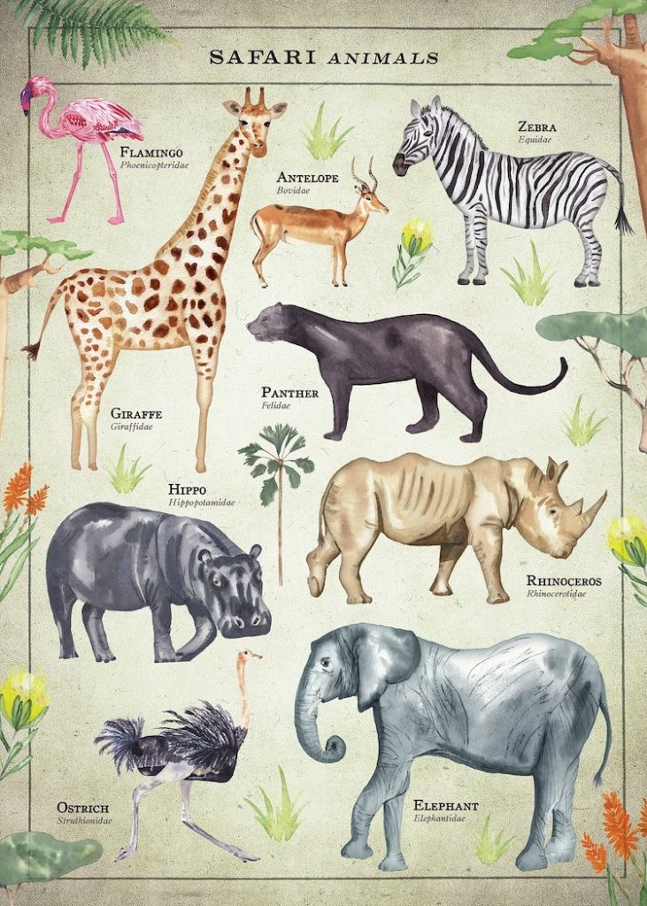 Safari print for kids