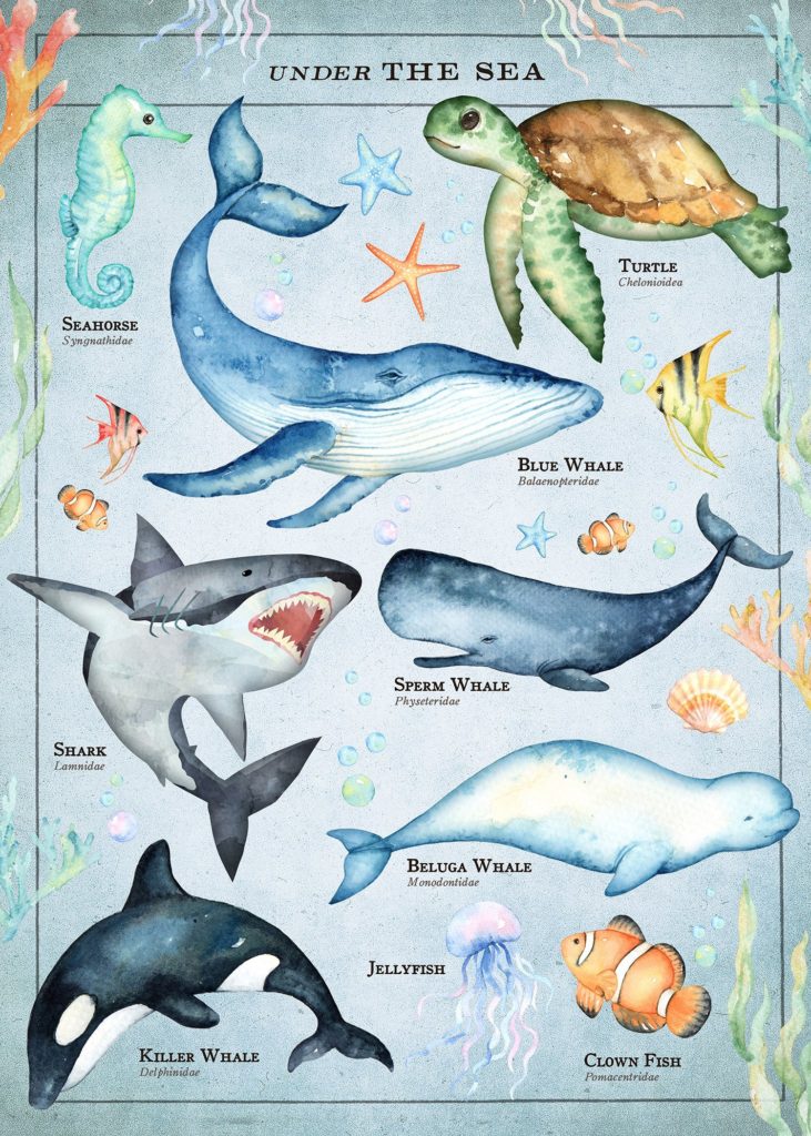 sea creatures print for kids