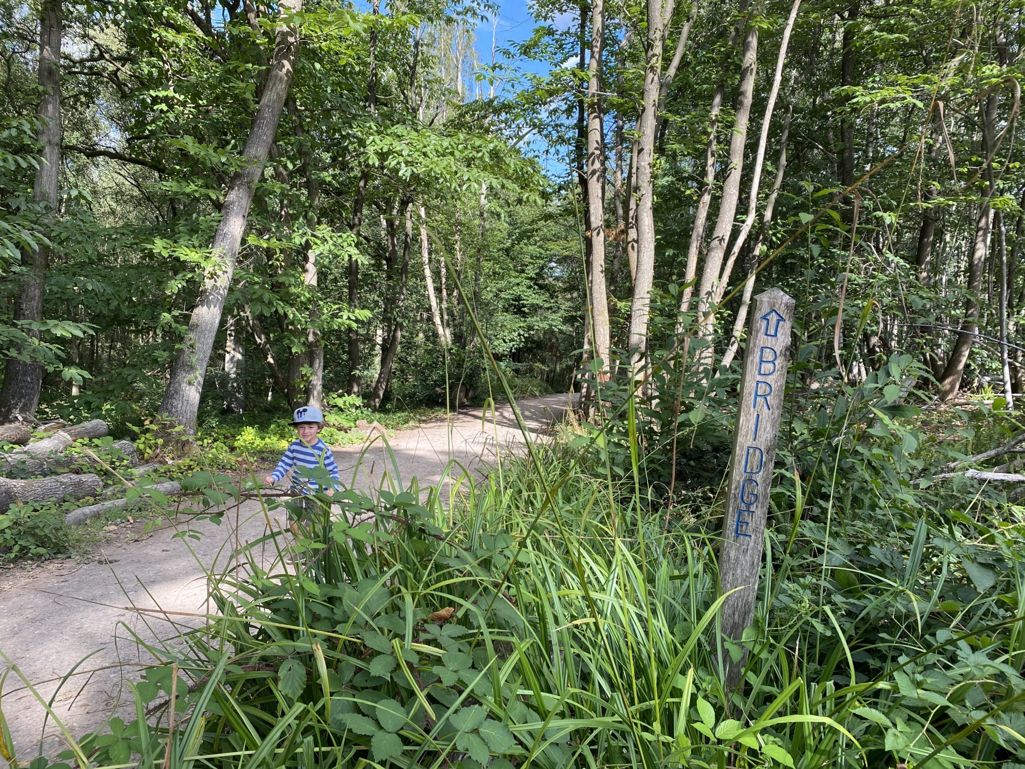 Boy on the winnie the pooh trail with sign post saying bridge