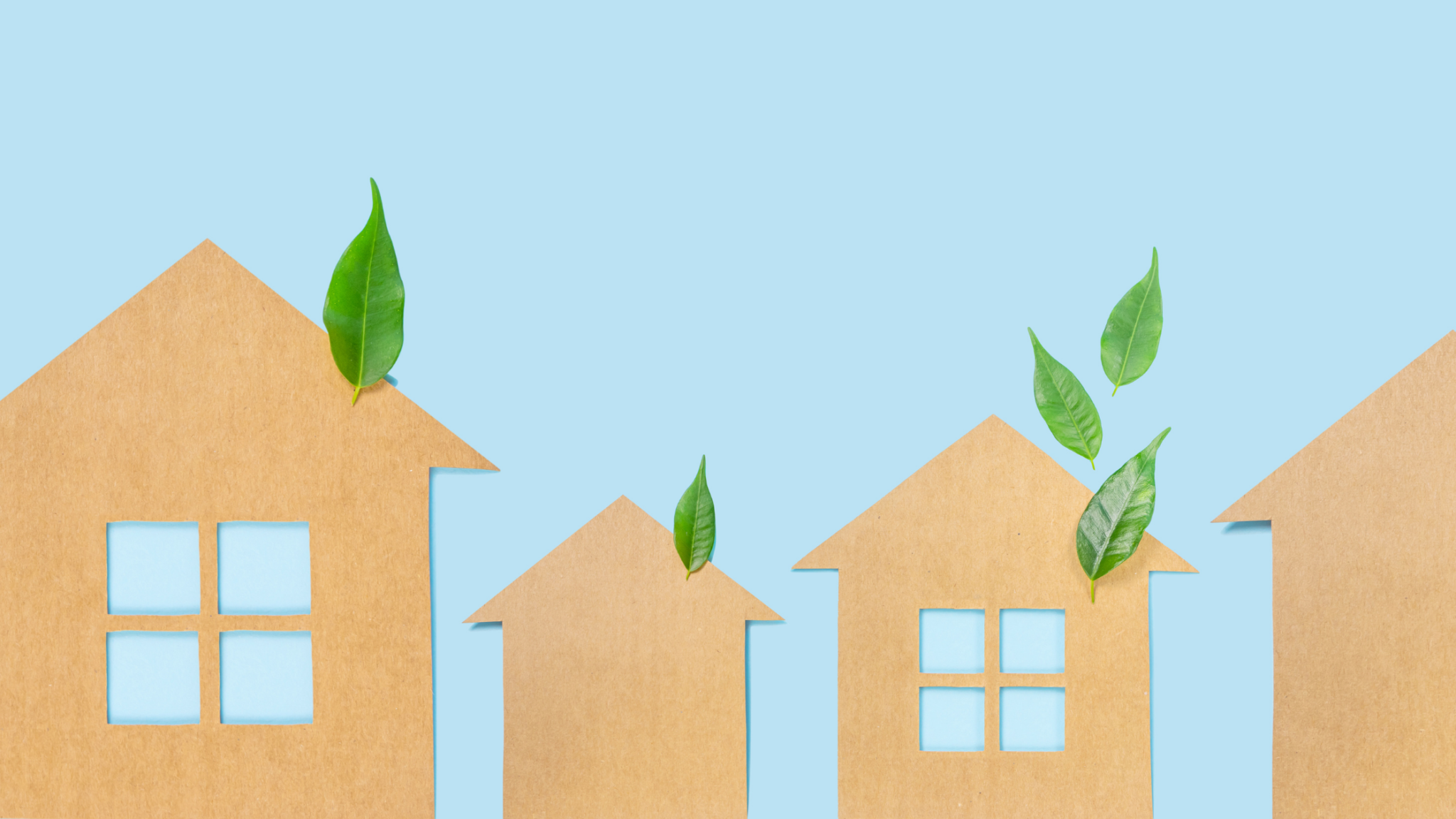 cardboard houses with green leave