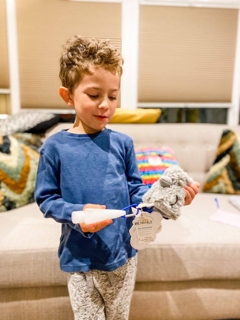 Boy with his Sharkie Day Dreamimal