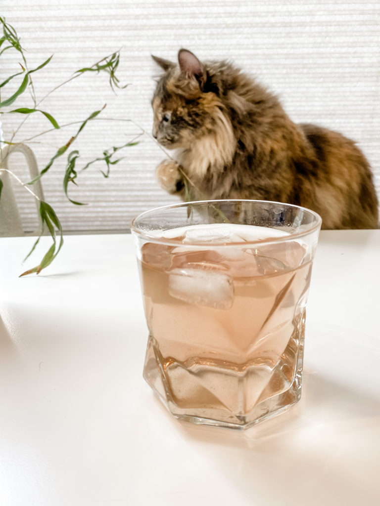 Fitness tea ice tea with cat photo bombing