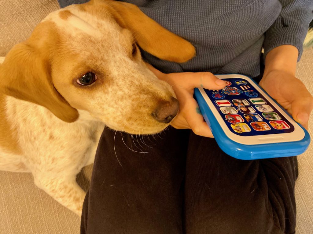Puppy with her kids playing the paw patrol smart phone from trends uk