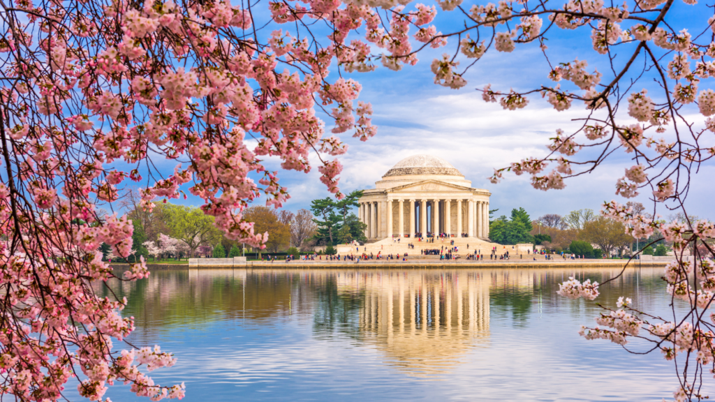 Washington DV and the White House from across the lake in Spring