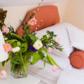 Spare room for guests to stay