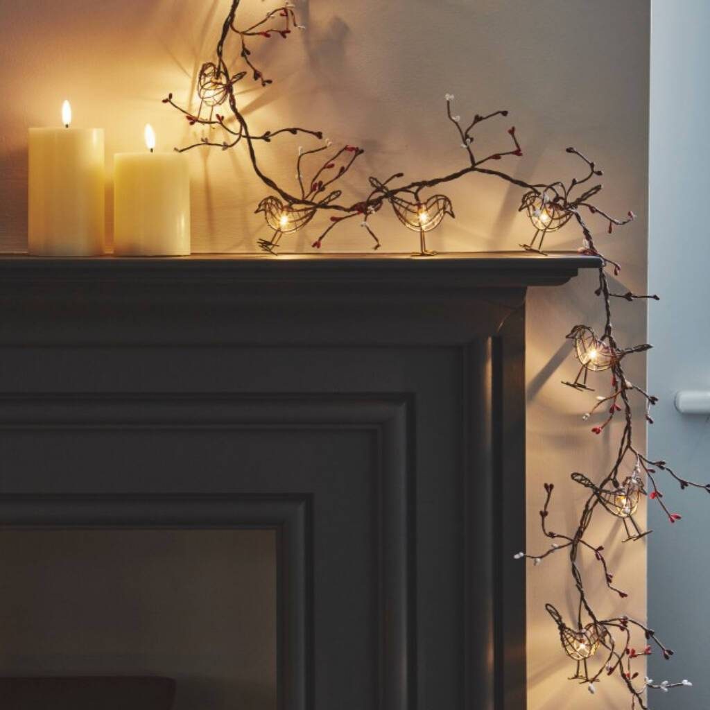 Winter robin fairy lights
