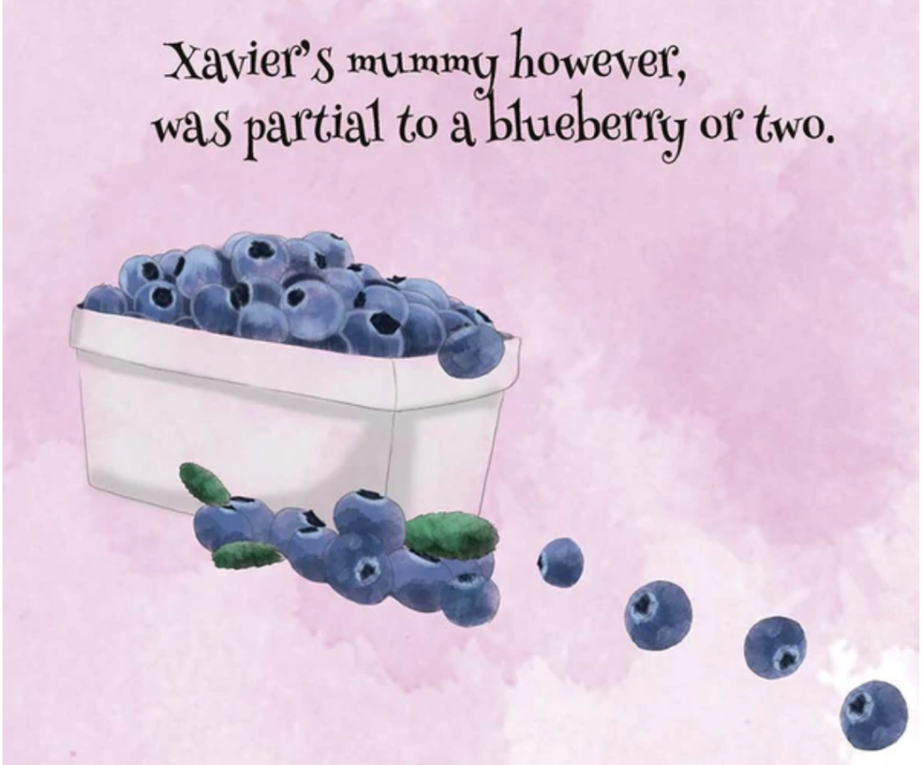Blueberries from storybake cook book Xavier and his Magical Blueberry Muffins