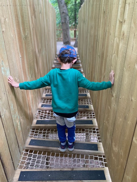 Jungle bridge at BeWILDerwood