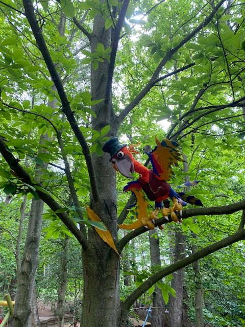 Parasquawk at BeWILDerwood