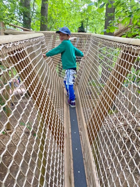 Rope bridge at BeWILDerwood