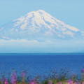 Alaska mountain in the distance over the sea