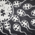 Illustration on chalkboard of fertility