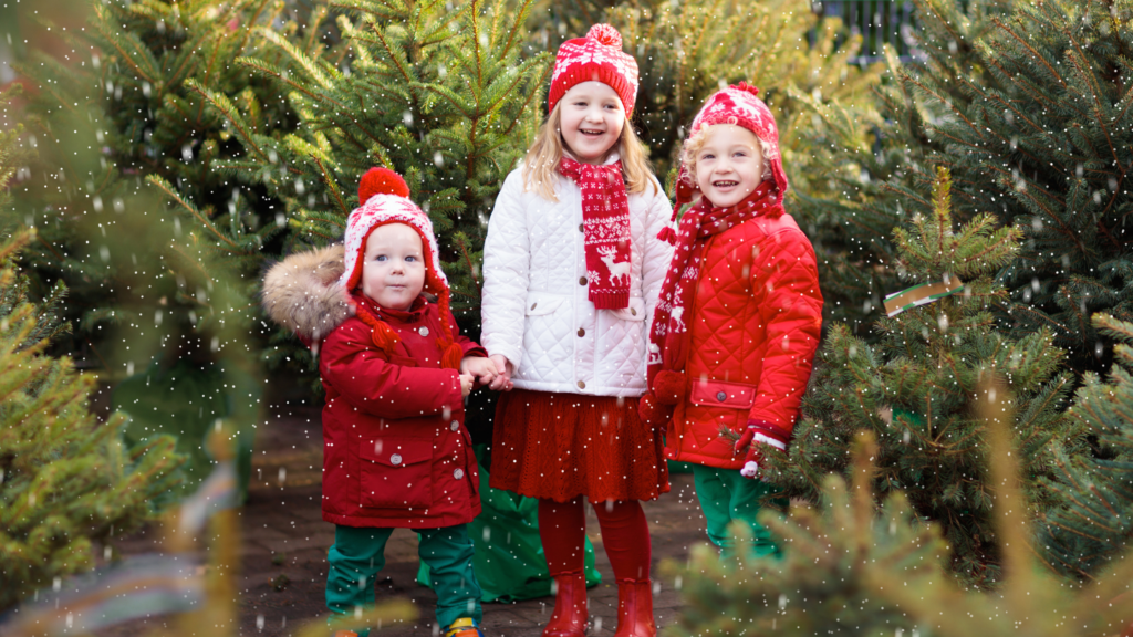 Children picking their Christmas tree