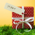 A picture pf a present for mum wrapped up in red paper with white polka dots and a white ribbon sitting on grass
