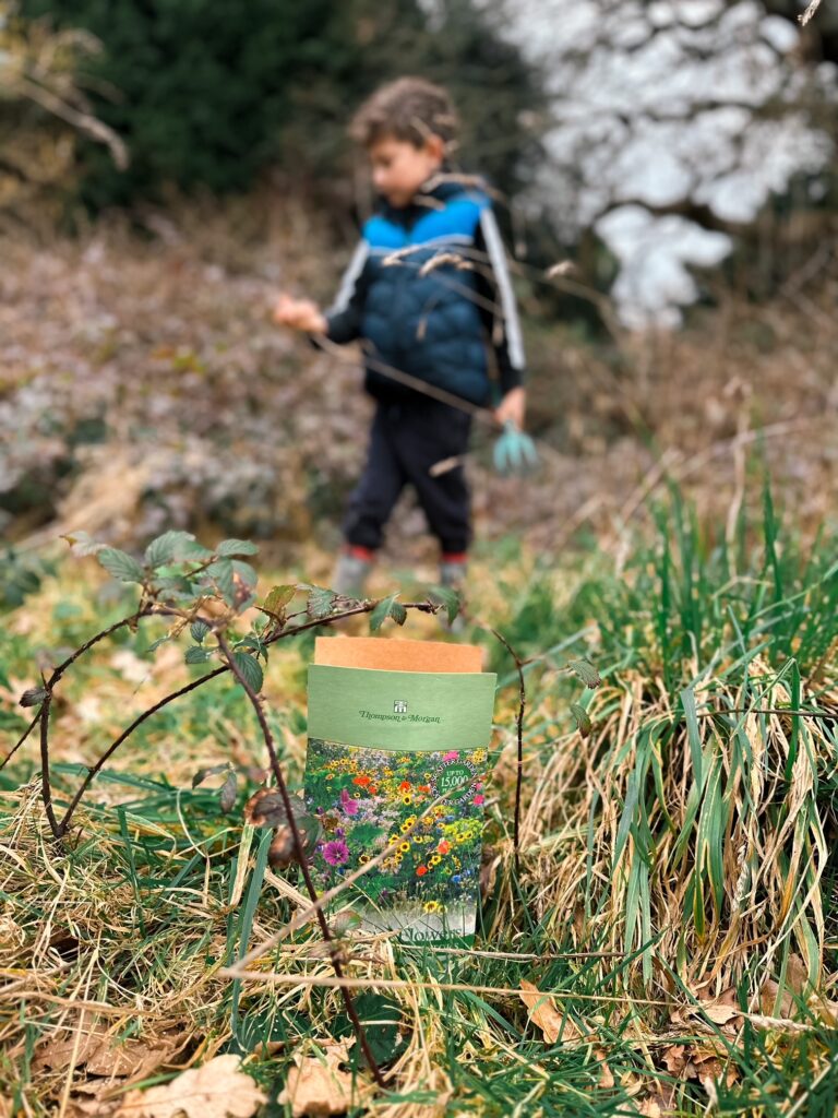 Wildflower seeds with boy in the background sowing them