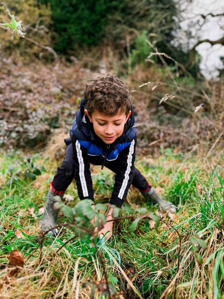 Boy gardening