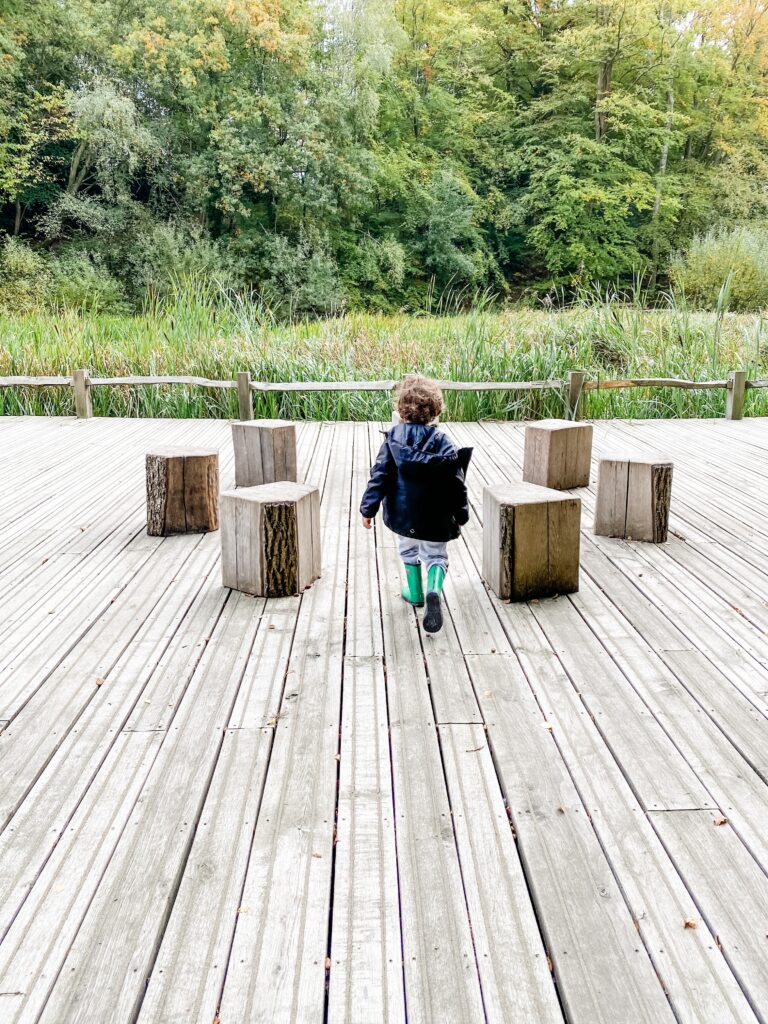 Young boy playing at the nature reserve at wakehurst place