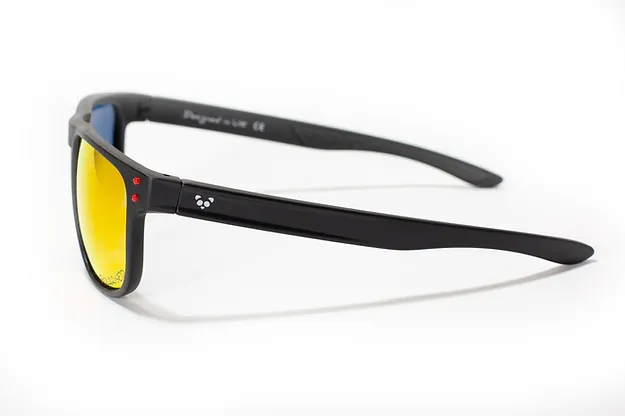 Polarised lens sunglasses