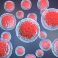 Stem cells under a microscope