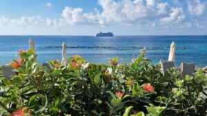 Escape the Cold: Why Cyprus in the Winter is the Perfect Holiday Escape Escape the Cold: Why Cyprus in the Winter is the Perfect Holiday Escape