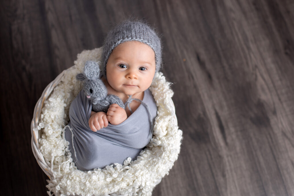 Sweet baby boy in basket, holding and hugging teddy bear, looking curiously at camera, smiling
