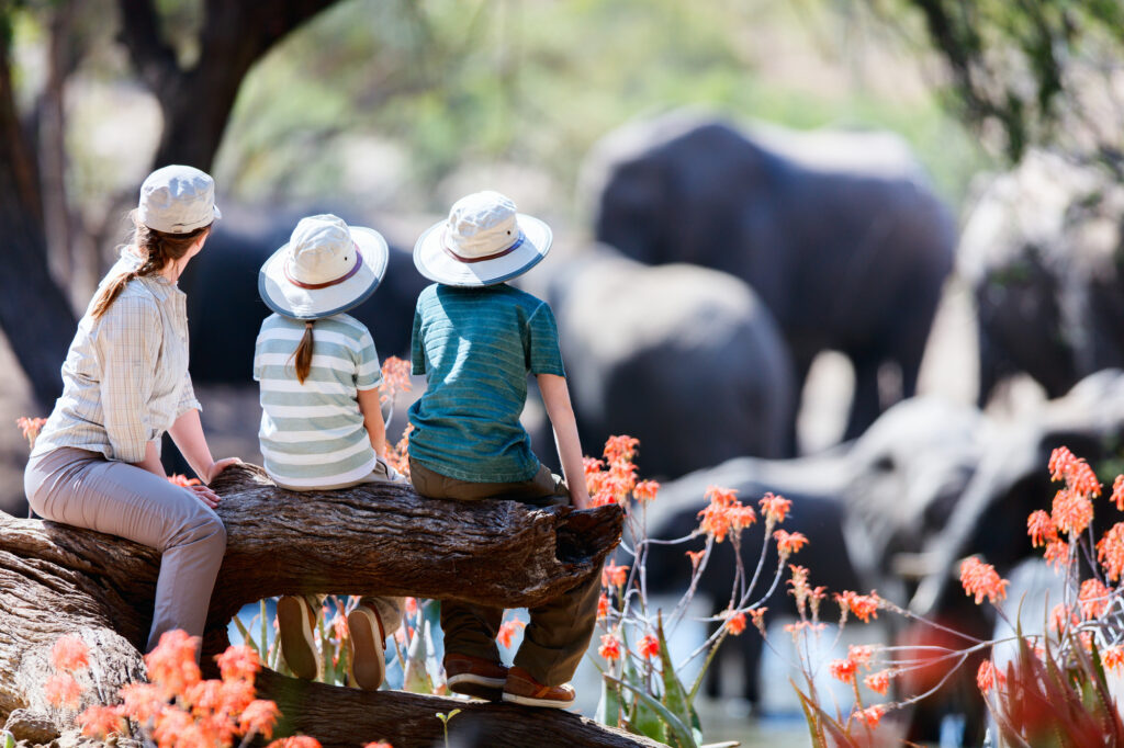 Family on safari in South Africa seated and looking towards some elephants