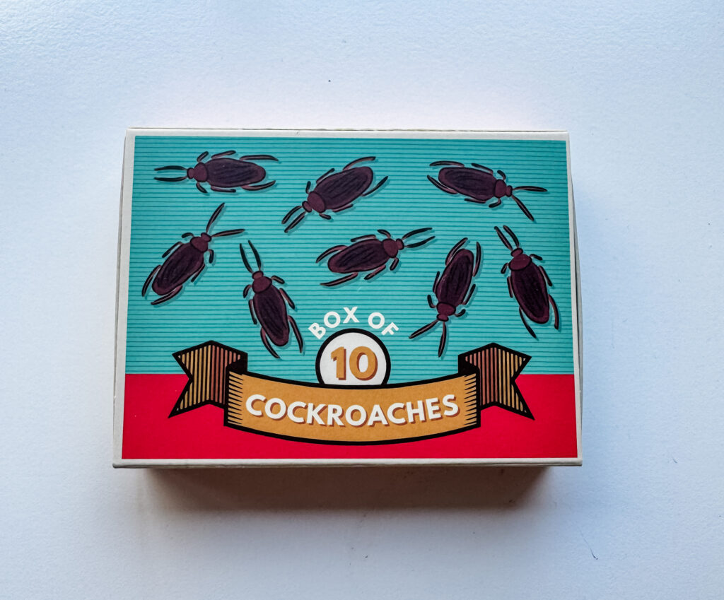 Box of Cockroaches