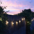 Evening in the garden with pink skies at sunset and the fairy lights turned on up against the fence